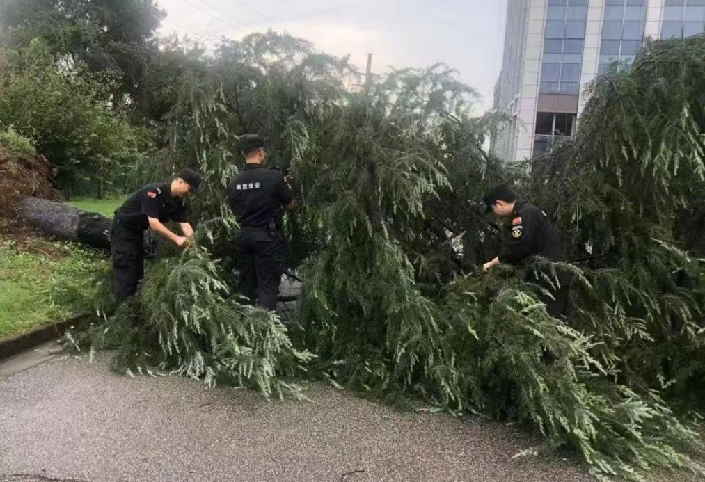 C:/Users/BA/Desktop/風雨過后南京保安迅速行動,恢復安“寧”面貌/1.jpg1